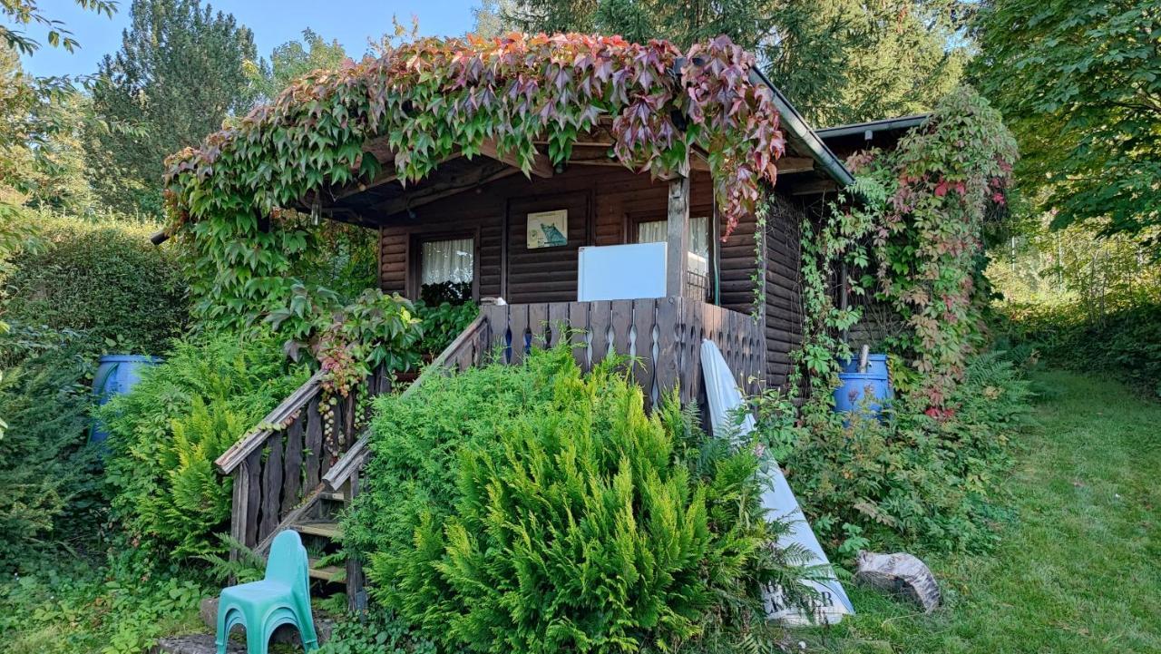 Cafe Pension Sonnenkanzel Staatsbad Brückenau Exterior foto